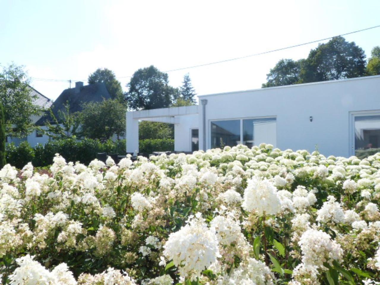 Villa Mosel 모르바흐 외부 사진